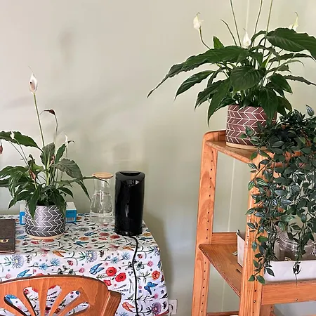 Privatunterkunft The Nest In - Family Friendly