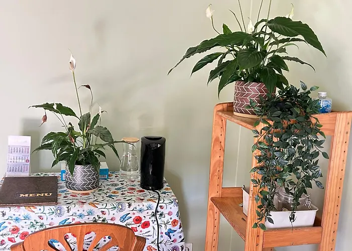 בית אירוח The Nest In - Family Friendly